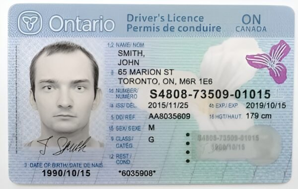 canada driver's license, ontario canada driver's license, british columbia canada driver's license, alberta canada driver's license, us to canada driver's license, ontario canada driver's license renewal, service canada driver's license,